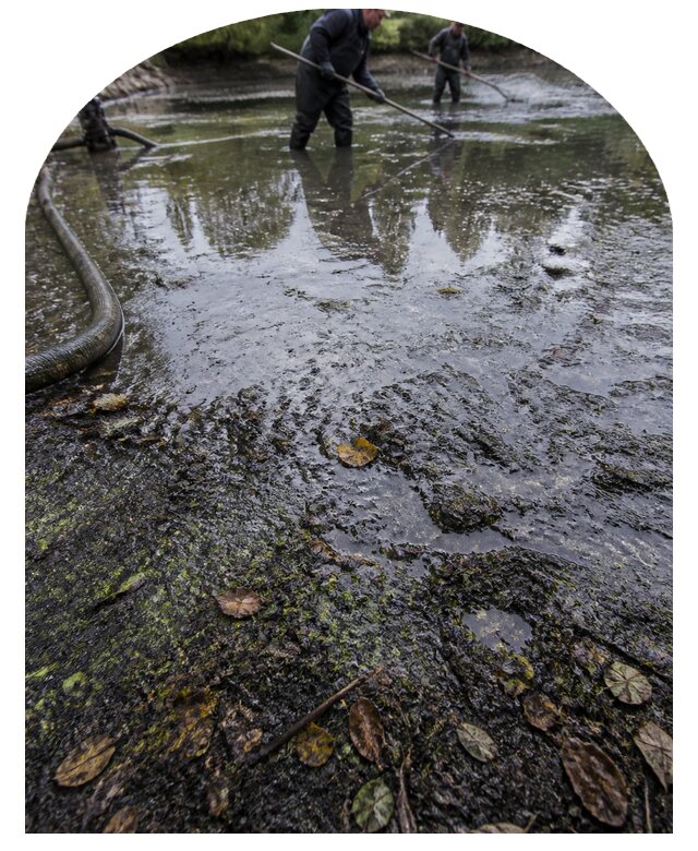 Очистка пруда в Карасуке от ила мусора и водорослей с вывозом